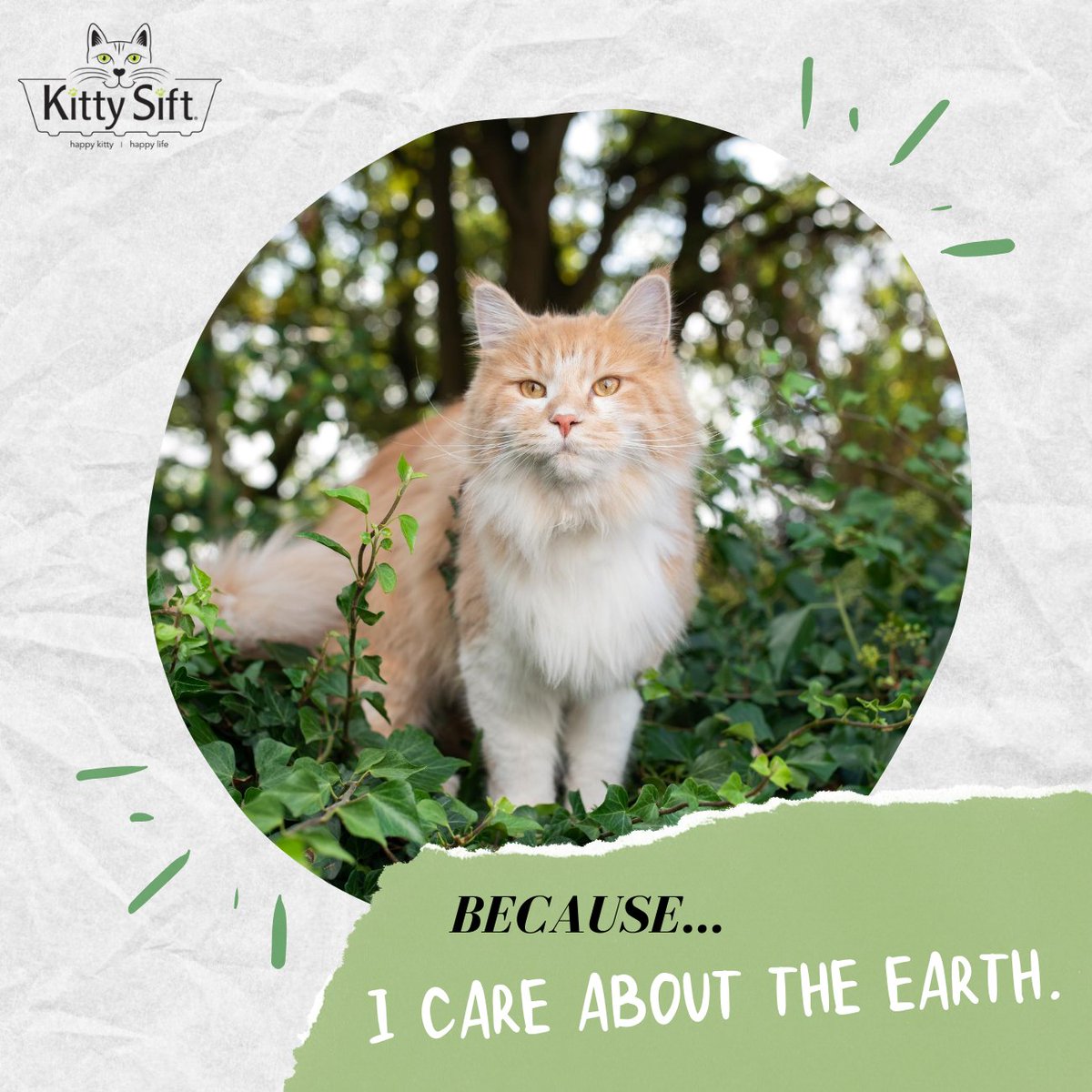 WHY Kitty Sift?

Our kitty litter solutions are eco-friendly &amp; plastic free, made from 99% post-consumer waste recycled cardboard.🌎
kittysift.com
#ecofriendly #plasticfree #catlovers #meow #catlady #kittysift #catlife #catsrule #catsofinstagram #catstagram #bestmeow