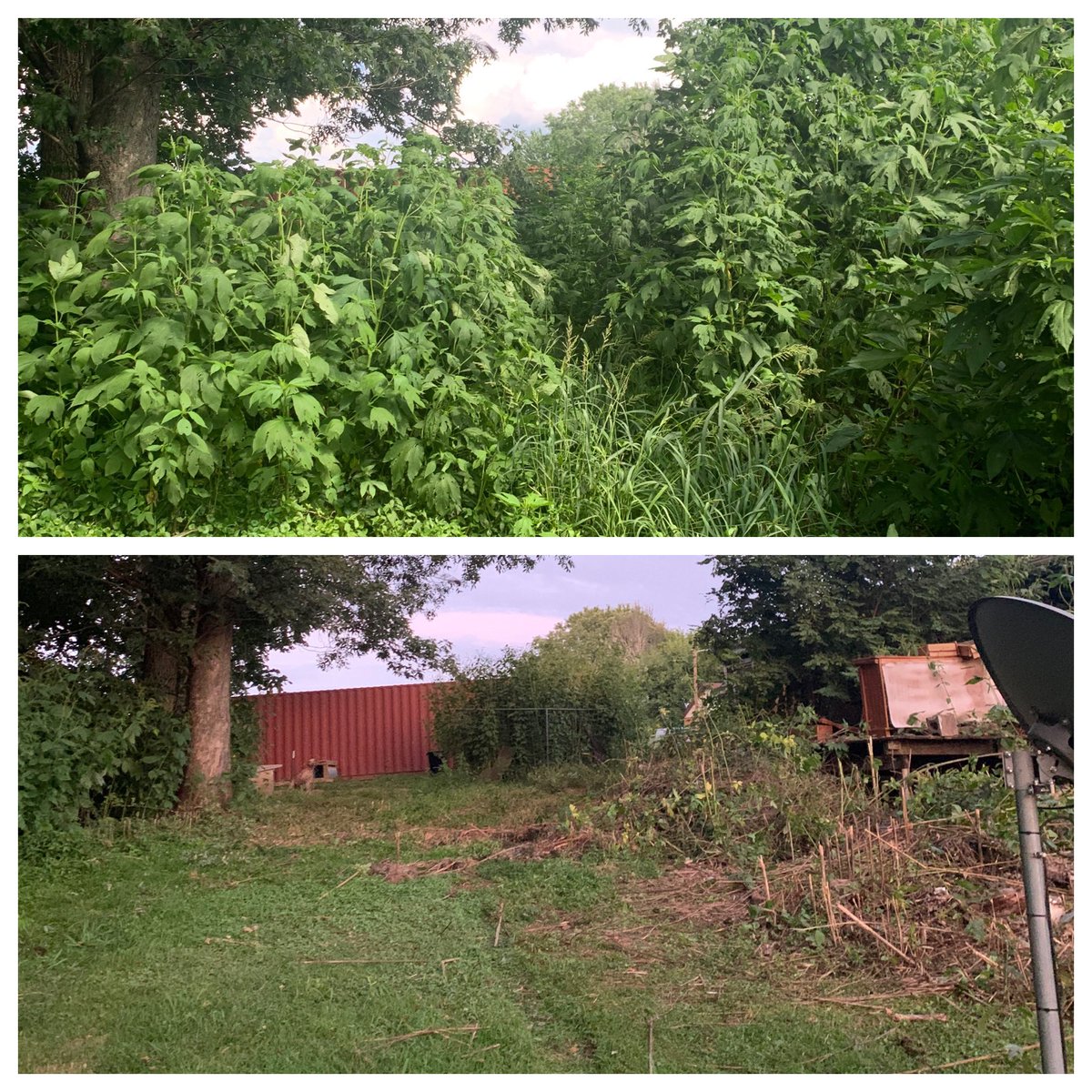 EllieEmmons's tweet photo. This isn’t my house but I’m sure you can imagine that poison ivy was hiding in there 😂 https://t.co/FXqcLqgi1l