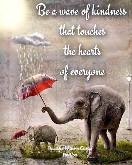 Be a wave of kindness that touches the hearts of everyone.  One simple act of kindness can change someone's day.
#ThursdayThought #Kindness #CRPS #Spoonies #Fibromyalgia #PTSD #CRPSsurvivor #Motivation #Hope #Help #MakingADifference #ChangeLives