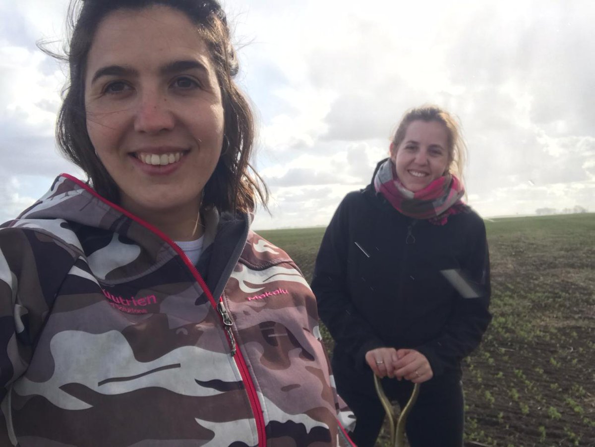 Recorrida de ensayos en <a href="/NutrienBolivAR/">Nutrien Ag Solutions - Bolívar Pehuajo, AR</a> 

Esta vez #AccomplishLM en cultivo de lenteja ✔️