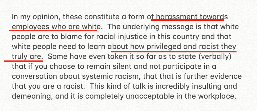 One senior employee told me the relentless bombardments of critical race theory content amount to "harassment towards employees who are white" and create an atmosphere of intimidation against anyone who does not share the executives' progressive political convictions.