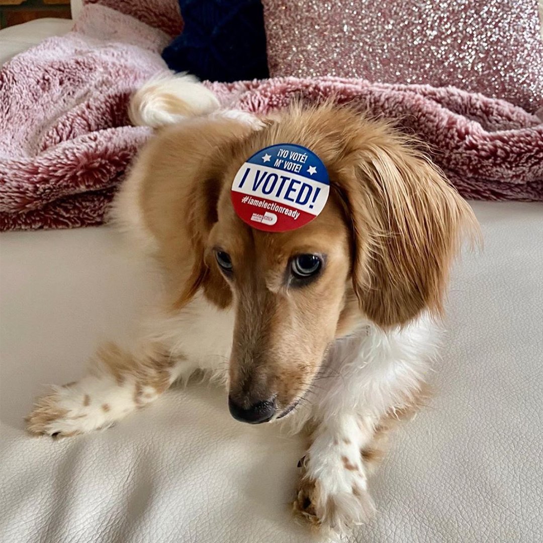 KyuteeNails's tweet photo. 📸@katbeautiful
Did you register to vote yet kyutees!? HE DID Register here: https://t.co/64jSJFD8pY or https://t.co/x4RssZJNHr .We are proud to be a partner of  WWAV.
 #KyuteeVote
.
.
 #Iamakyutee  #Vote2020 #voteusa  #nailfie #nailfashion #nailwraps #nailart #nails #nailinspo https://t.co/eTrZKGc1c5