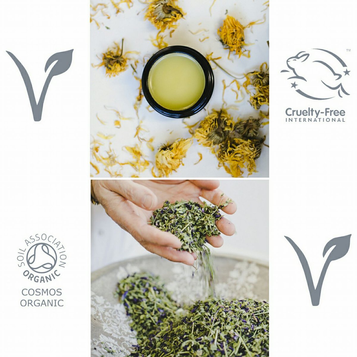 Brummells of London tweet media