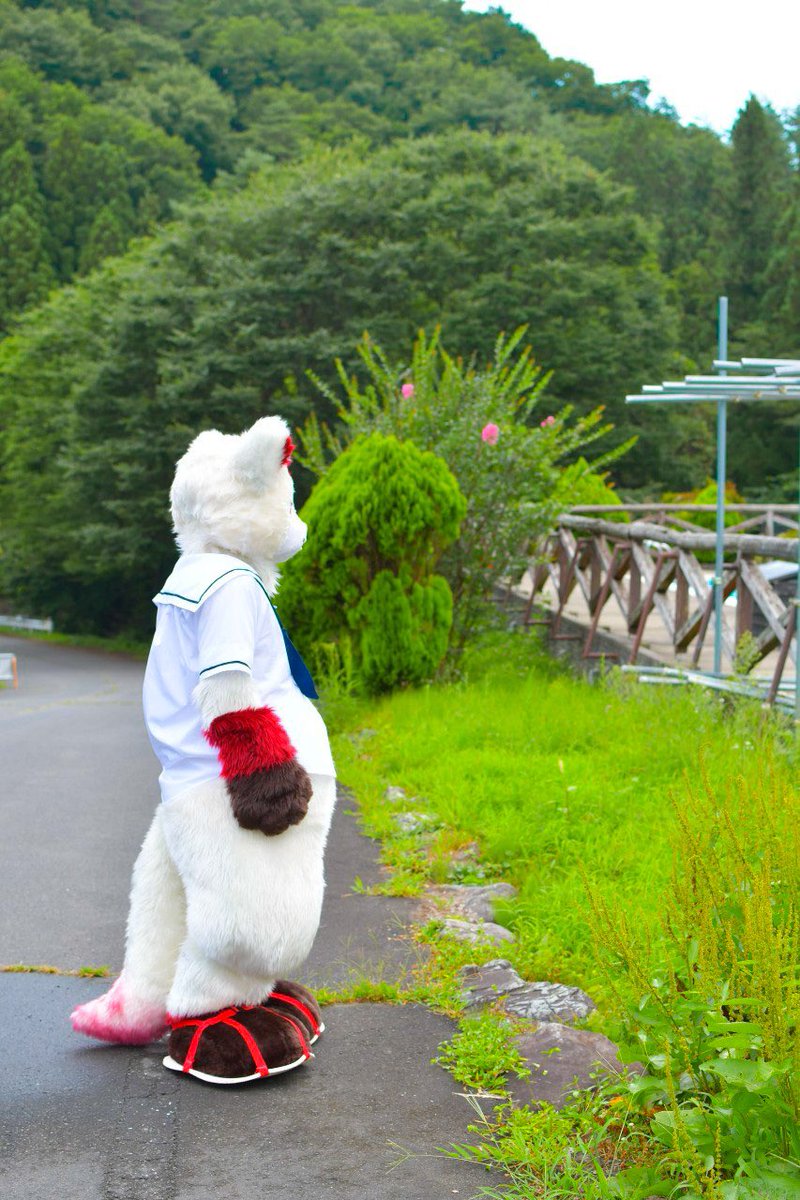 nanon_1st's tweet photo. このだらしねぇ腹感好き #FursuitFriday
#TDOS4
(📸→@siroka885 ) https://t.co/awT5jHc4t7