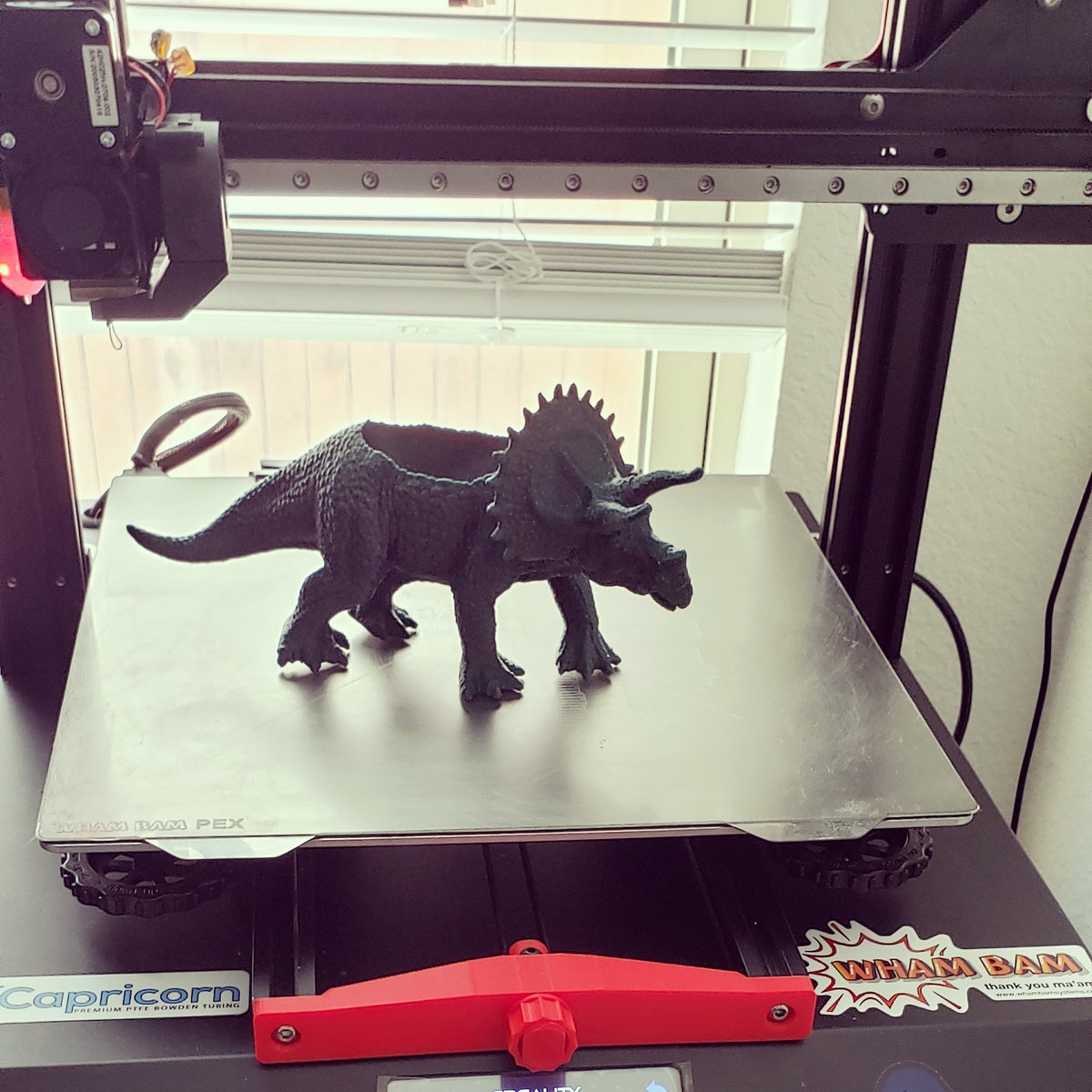 Cubik3D's tweet image. We have a dinosaur now! 

Designer: Tinytynan

#dinosaur #triceratops #hatchbox3d #crealitycr10 #whambamsystems #bondtechextruder