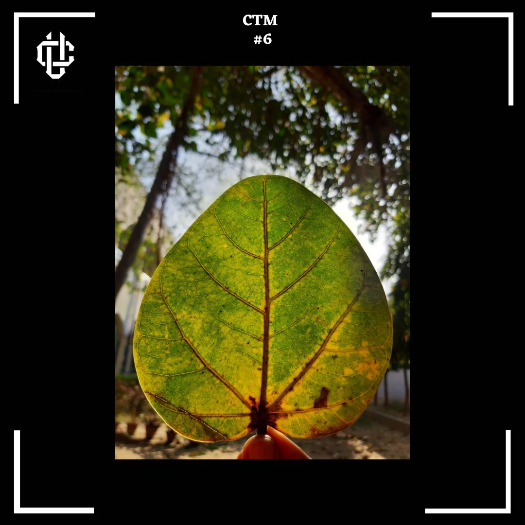 CompeteUnion's tweet photo. Entry no - #6
"𝐂𝐥𝐢𝐜𝐤 𝐭𝐨 𝐌𝐞𝐦𝐨𝐫𝐢𝐞𝐬" - 𝐏𝐡𝐨𝐭𝐨𝐠𝐫𝐚𝐩𝐡𝐲 𝐂𝐨𝐦𝐩𝐞𝐭𝐢𝐭𝐢𝐨𝐧

Clicked by - Purva Gautam

#Competeunion #photographycompetition #delhiuniversity #MSDhoni #Sadak2dislike #bollywoodnews #photography #photographycompetition #supportlocal #startup https://t.co/zXKO3hWOSe