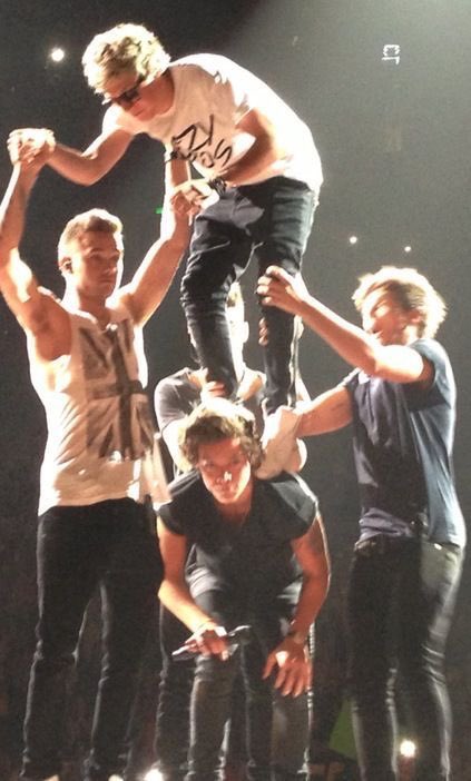 One Direction taught me to never give up.