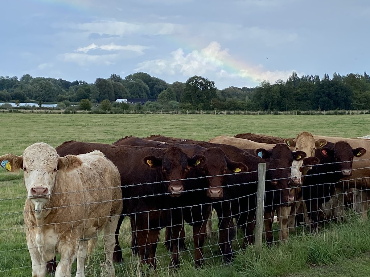 coactionmanager's tweet photo. @willenhospice #AllNewMoo route planning going very well. I’m going to walk from home past the hospice and back again. It looks like about 11-12 miles. I’m walking in memory of my Dad, Cecil Rhodes please sponsor in aid of Willen. https://t.co/H3ju04nQcR