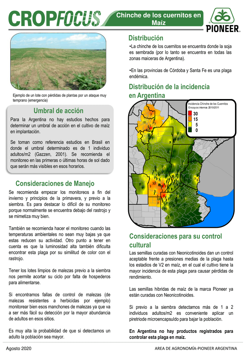 PioneerSemillas's tweet photo. ✔️Nuevo informe #CropFocus:
🌽Chinche de los cuernitos en Maíz.
#HechoParaCrecer #Semillas #Maiz https://t.co/Mi1ViFWkX4