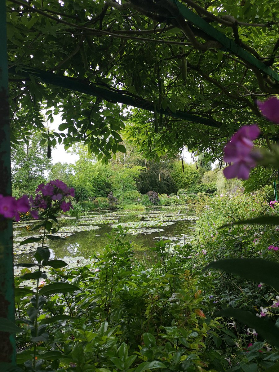 EireBloom's tweet photo. La casa de Monet es una fantasía cottagecore 🌾🌻🌼🧚‍♀️ https://t.co/P3NRPfG85P
