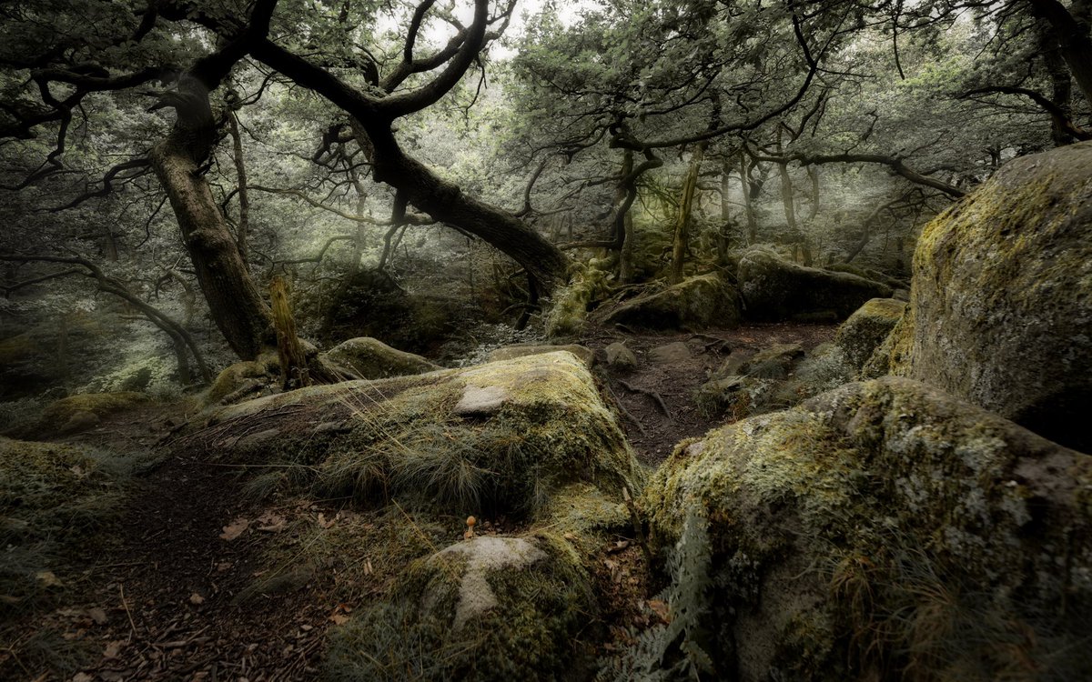 andyDoughty11's tweet photo. Relaxation. Yesterday I ventured out to the beautiful and enchanting #Padleygorge for some photo therapy. 
Easily one of the most beautiful places in the UK. 
Here’s one of my compositions (if you’d like to take a peek at my photo journeys - Instagram andydoughty_bravewode) https://t.co/AZBtbHGVF9