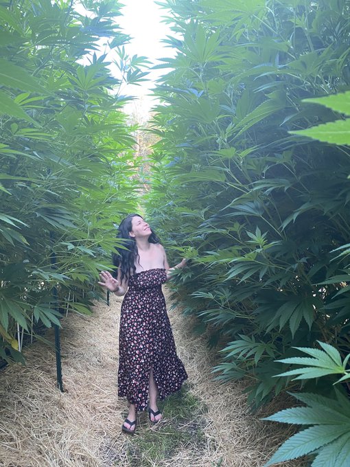 Magical https://t.co/rRfhv2s0UO<a href="/tag/arggg"class="tags"><span>#arggg</span></a>