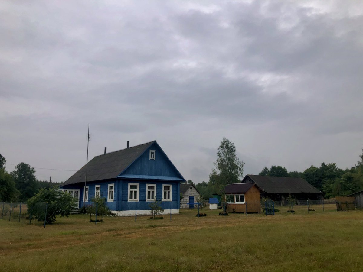 Michiel Driebergen tweet media