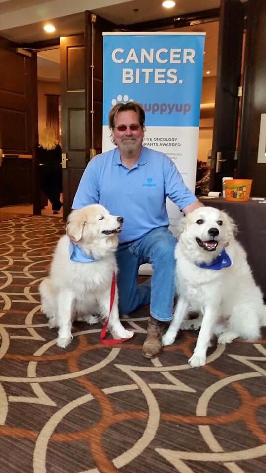 PuppyUpHouston's tweet photo. Throwback Thursday from 2015!

Luke and the boys, representing Puppy Up Foundation at the VCS (Veterinary Cancer Society) conference! Good things are happening! 

#puppyup #companionsagainstcancer #cancerfightingsuperhero #caninecancerawareness https://t.co/cKt25kSBZ3