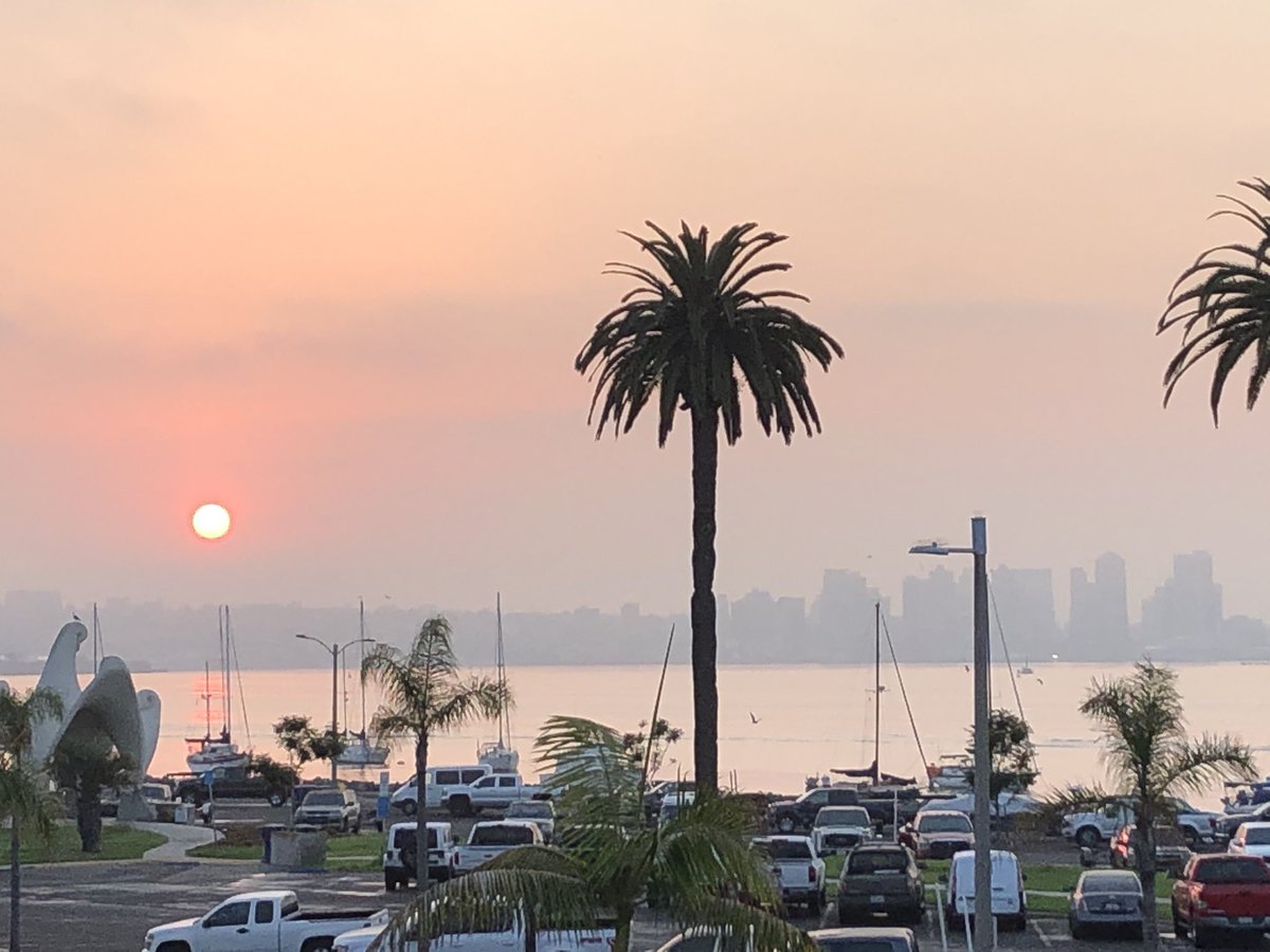 Frable's tweet image. Last morning of hotel quarantine before boarding the @RVSallyRide for two weeks with @anelachoy’s lab and others for @NSF funded #SiphWeb!