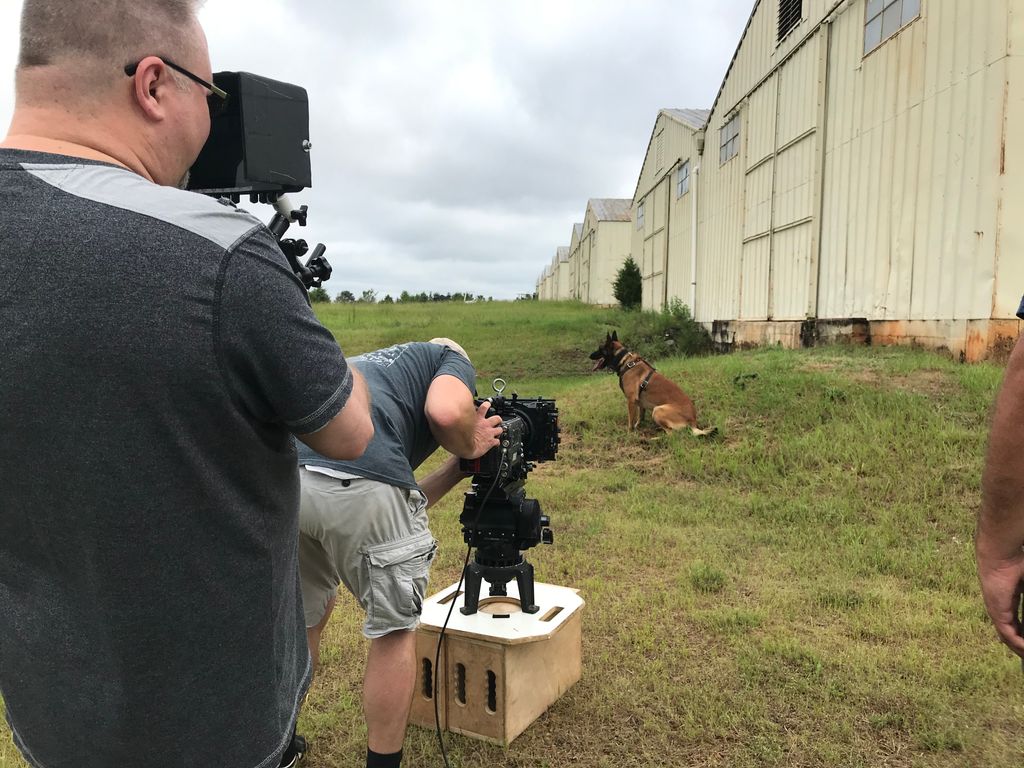 Out on location at SCTAC today with K9 Mattis of the Greenville Sheriffs office as he works on his scent training with his partner.
#prodogtv #prodogatwork