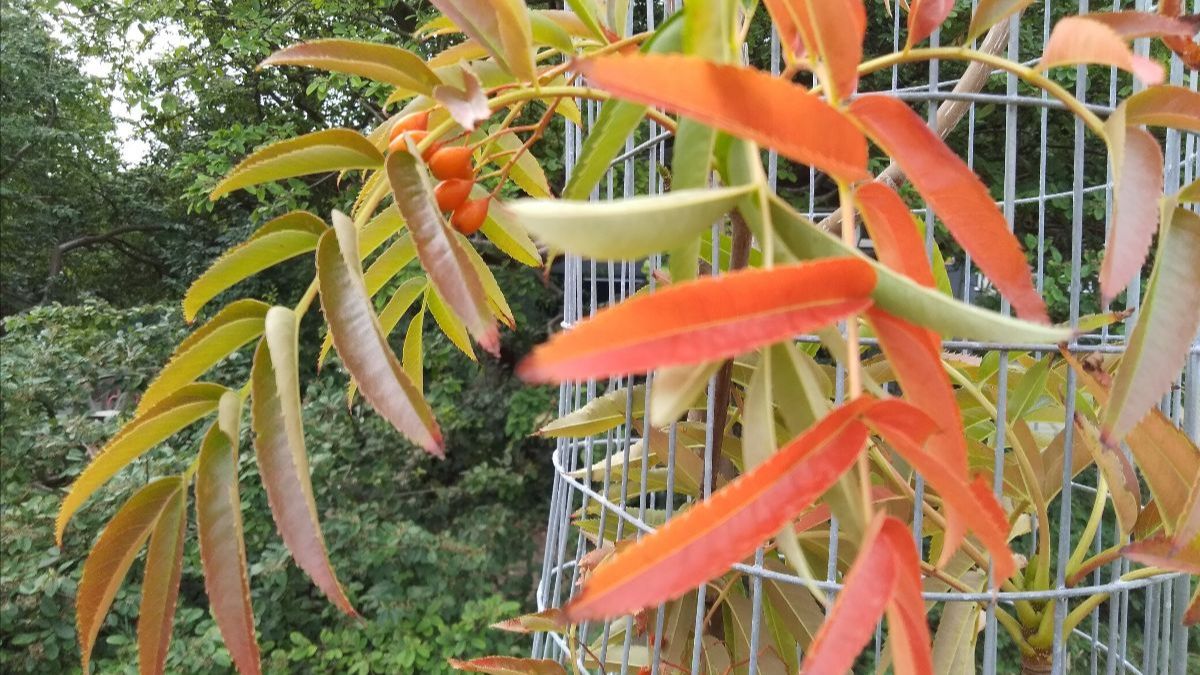 The Barn has reopened! Lots of news to share with you #westdenegreen
us12.campaign-archive.com/?u=fc7eeef6131…