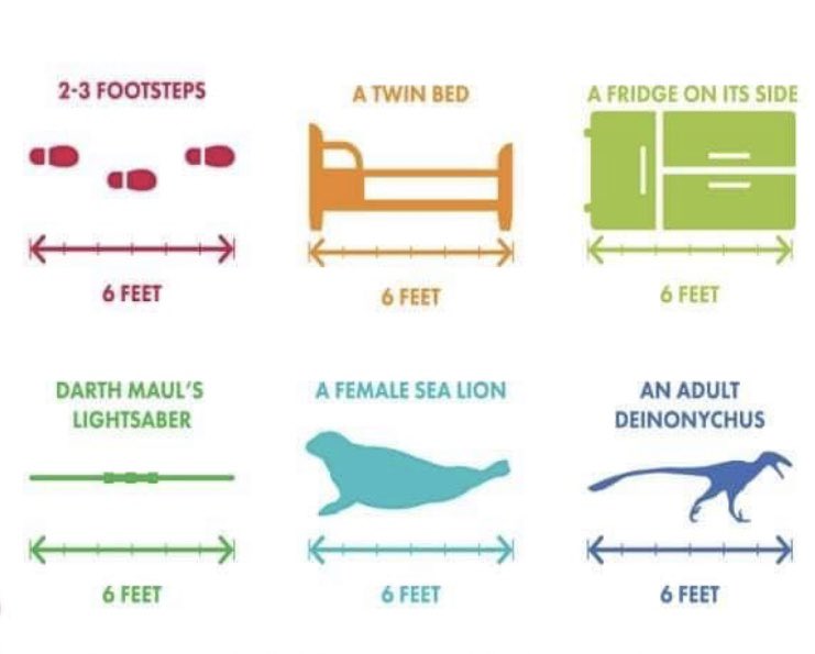 If you’re like me and need a visual to know how far apart 6 feet really is, without using a ruler, here are some fun ones!