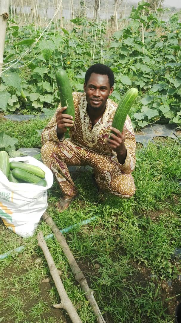 EletaValentine's tweet photo. #ThrowbackThursday 

Handsome Cucumber farmer in Ogbomoso 2016 😊 https://t.co/iA63R2HLw9