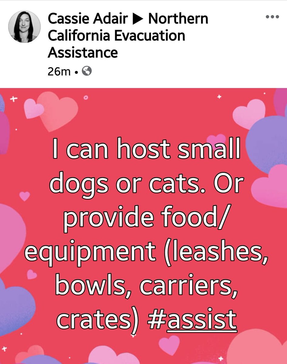  #LNULightningComplex  #Animals  #Dogs  #Cats She's in Sacramento Co Contact:  http://www.facebook.com/cassie.adair.9 If you need me to make contact for you, please let me know #SonomaCounty  #NapaCounty  #SolanoCounty  #LakeCounty #yolocounty  #Vacaville  #DAT #California  #Pets