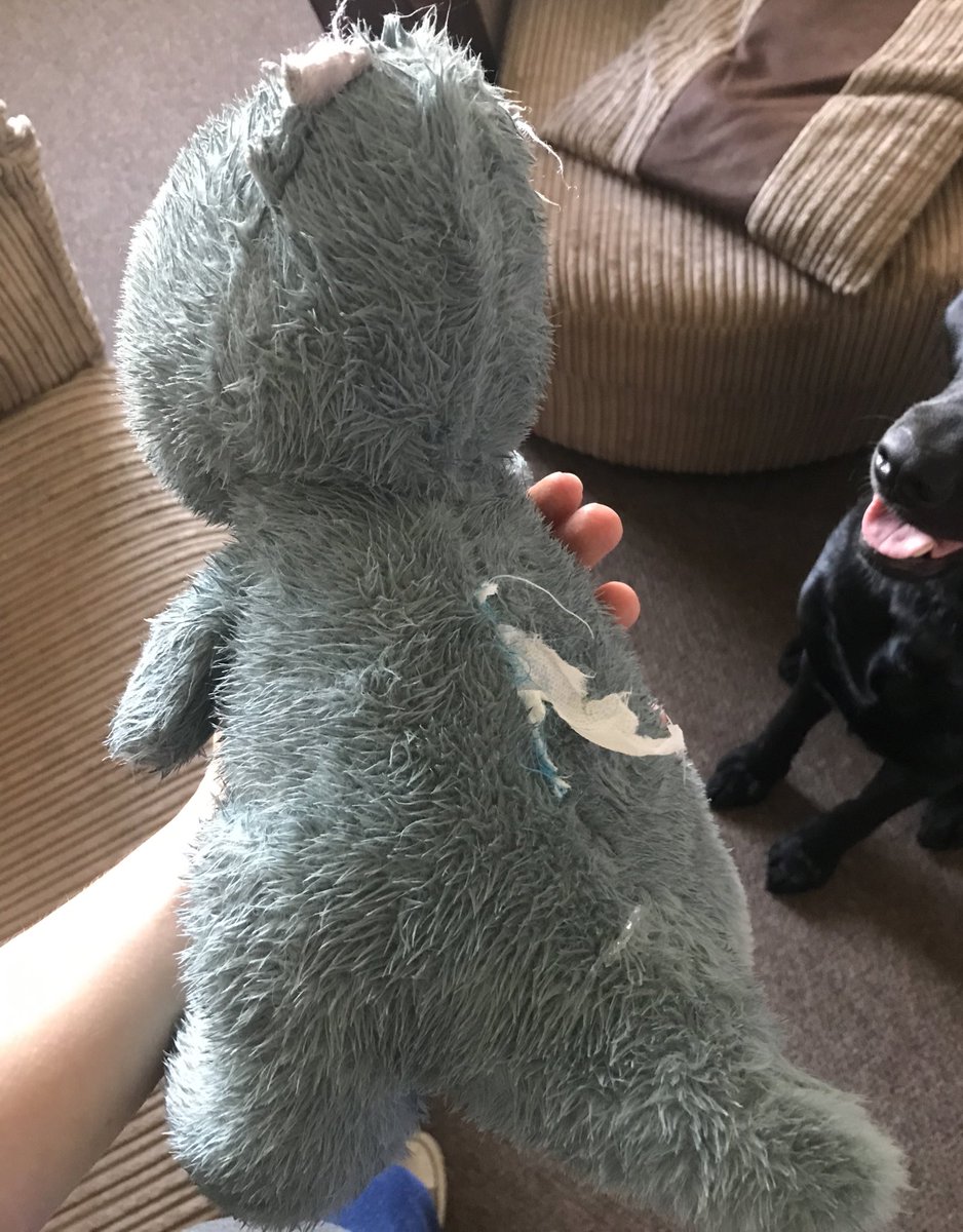 CarlaLinford's tweet photo. A dragon was sent by @busterbox_ to infiltrate Camp Linford and was quickly, intercepted by Bruce. Within half an hour the threat had been neutralised, wings (and ears) clipped! ๐ฌ๐ ๐ธ#destructodog #labradorretriever #dogsoftwitter #jobdone https://t.co/aMlpEF6LpG