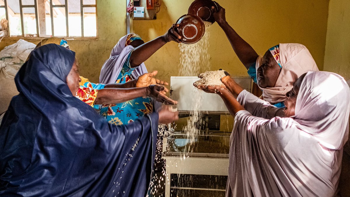 IFAD's tweet photo. What determines whether improved agricultural technologies are adopted? 

New #IFADresearchseries reveals 11 factors that are positively related to the adoption of improved agricultural practices.

https://t.co/dNF2YnK7TJ https://t.co/whtNAlZmiP