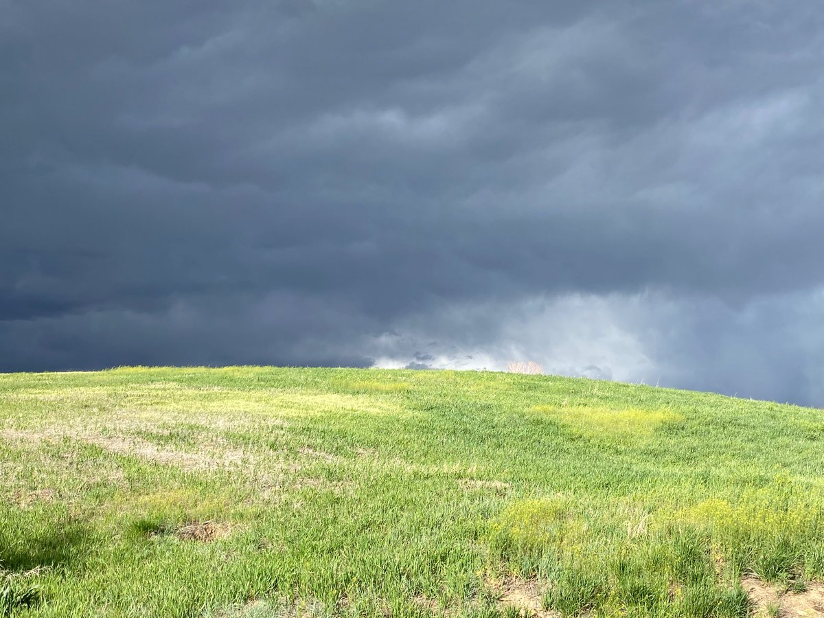 Alison Post tweet media