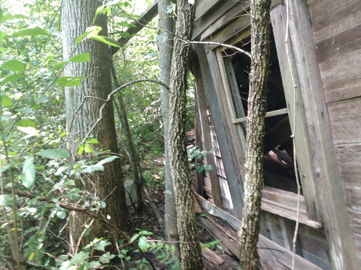 Johnny Fletcher (JohnnyF37205100) Twitter