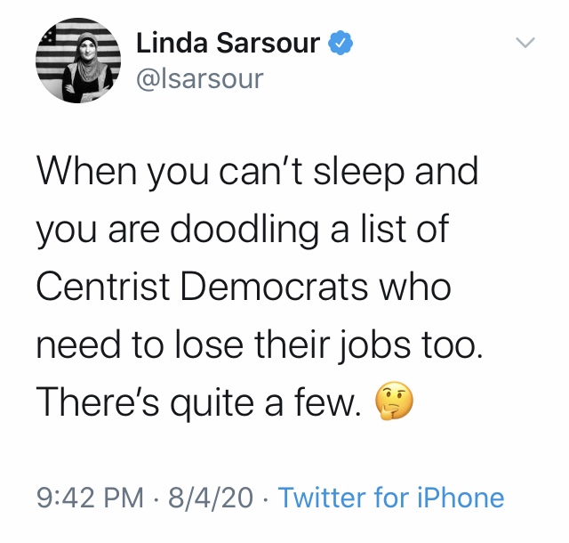 Linda and her DSA friends claim to be a part of the Democratic Party, but in reality, they spend their energy on Dem primaries in blue districts, and never flipping a red seat. She calls for people to register Dem specifically to infiltrate and change the party.