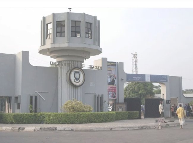 BalaAbdullahiGa's tweet photo. So,#Ngr's Premier Univ. d #UnivofIbadan, since 2014 could not Audit its Accounts.Reason? #ExternalAuditor engaged to prepare d Report became blind on d job. Meanwhile d #Univ Authority continued to dispense funds to run its affairs. Where are its #Profs. unravelling #Mysteries? https://t.co/iM0C87nETV
