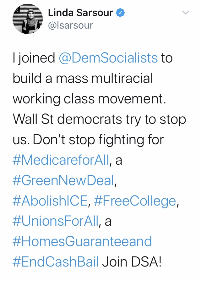 Linda and her DSA friends claim to be a part of the Democratic Party, but in reality, they spend their energy on Dem primaries in blue districts, and never flipping a red seat. She calls for people to register Dem specifically to infiltrate and change the party.