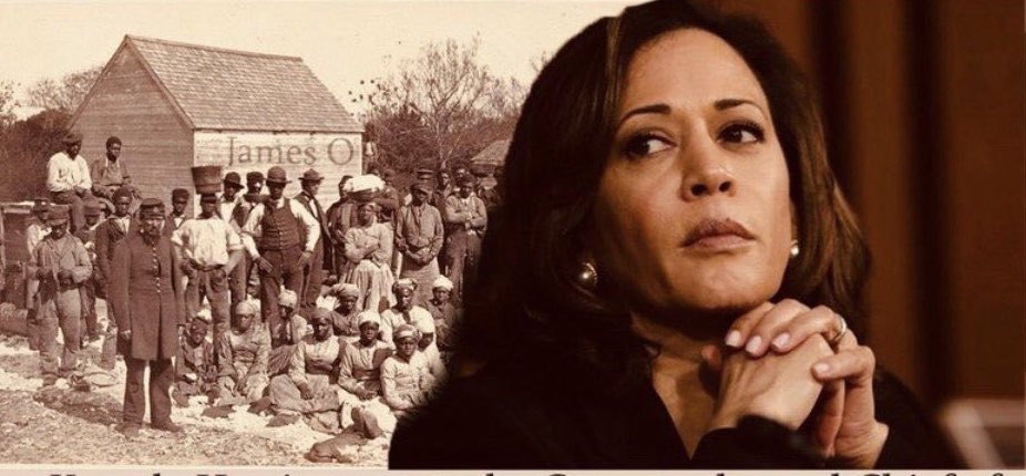 DineshDSouza's tweet photo. Too bad Kamala Harris neglected last night to acknowledge the 200+ slaves owned by her Jamaican ancestor, Hamilton Brown. She should at least have said, “They helped me get where I am today” https://t.co/dgfgfYkOLp