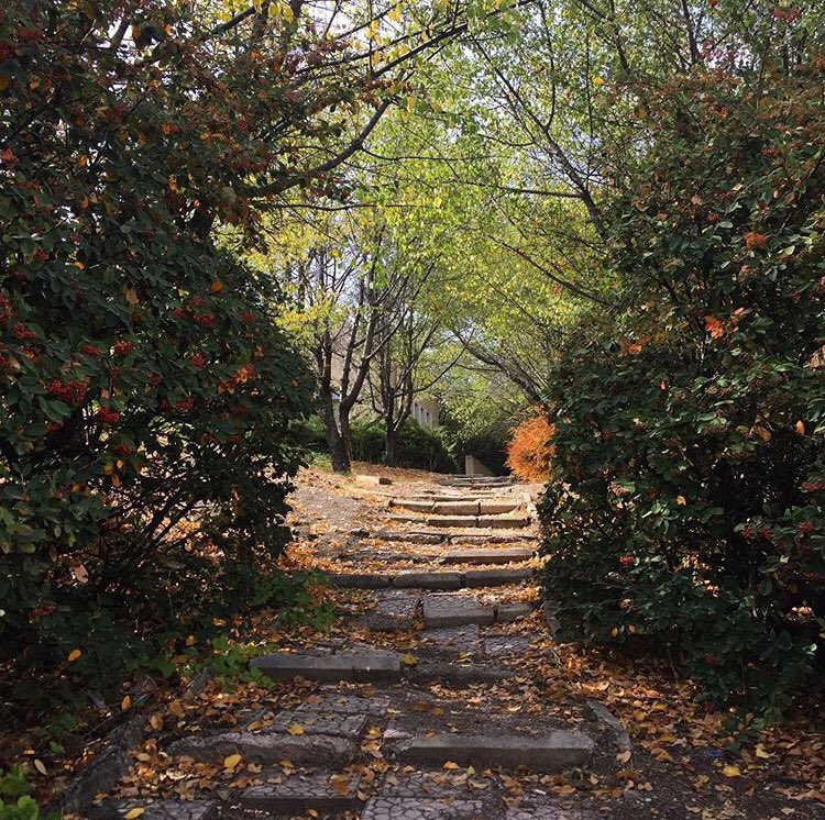 Bilkent Üniversitesinde Sonbahar...🍂🍁
.
.
.
#yks #yks2020 #yks2020tayfa #ykstercih2020 #ykstercih #tercih #bilkent #bilkentüniversitesi #tercihimbilkent #bilkentliyiz