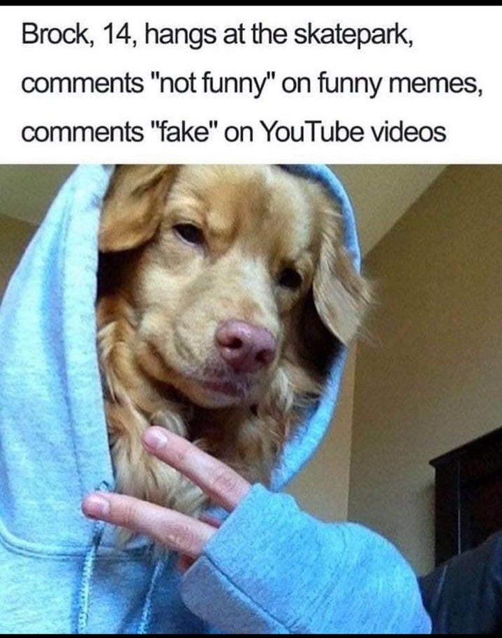 My colleague  @IanMacl03099830 says these are the truest things on the internet. I think he's right.