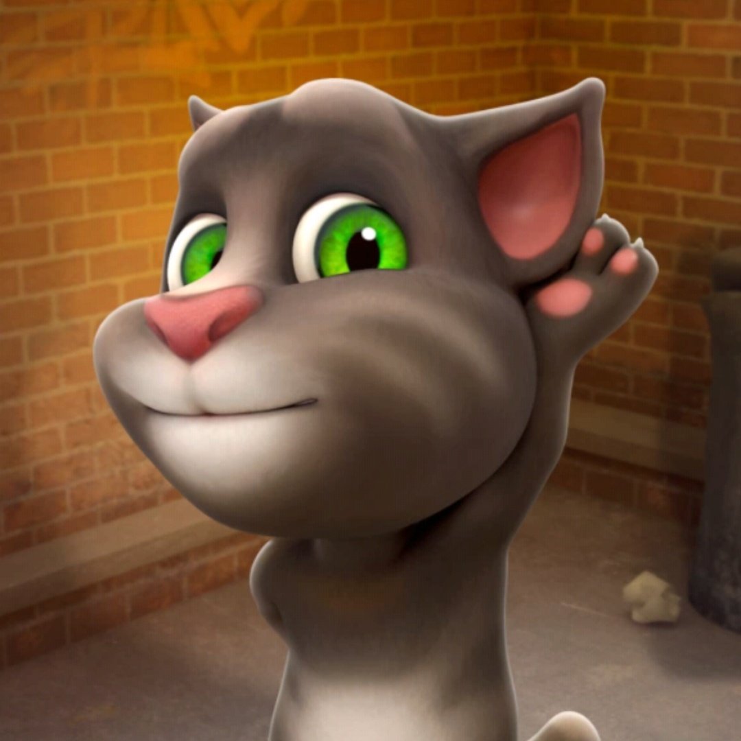 Talking tom 2010