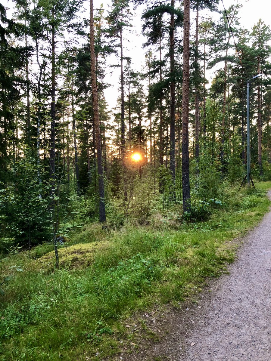 kallioinenr's tweet photo. #keeponmovingforward https://t.co/2Th6AtaKRf