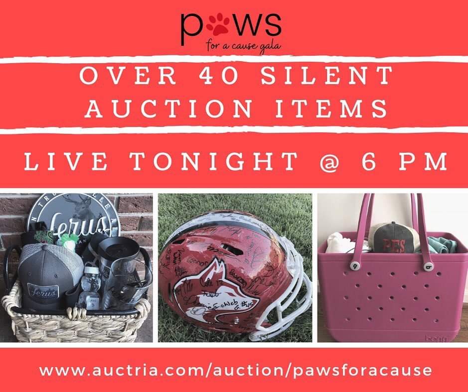 Paws for Cause Gala Virtual style is Sat. at 6:30.  Still get tix for $10K prize at tcsf.com
Silent Auction kicks off tonight at 6pm through 9pm Sat
auctria.com/auction/pawsfo…