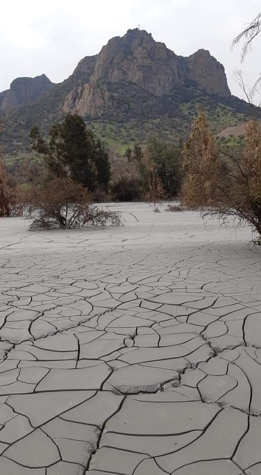 ANDRESVASQUEZM's tweet photo. Fiscalización a Relave Las Tórtolas

En virtud de las imágenes difundidas en RRSS. He solicitado se oficie a la brevedad a Sernageomin y a Superintendencia del Medio Ambiente, posibles escurrimientos de material residuo a canales.
La Autoridad Ambiental y Minera debe fiscalizar. https://t.co/9ivZIe1Vwi