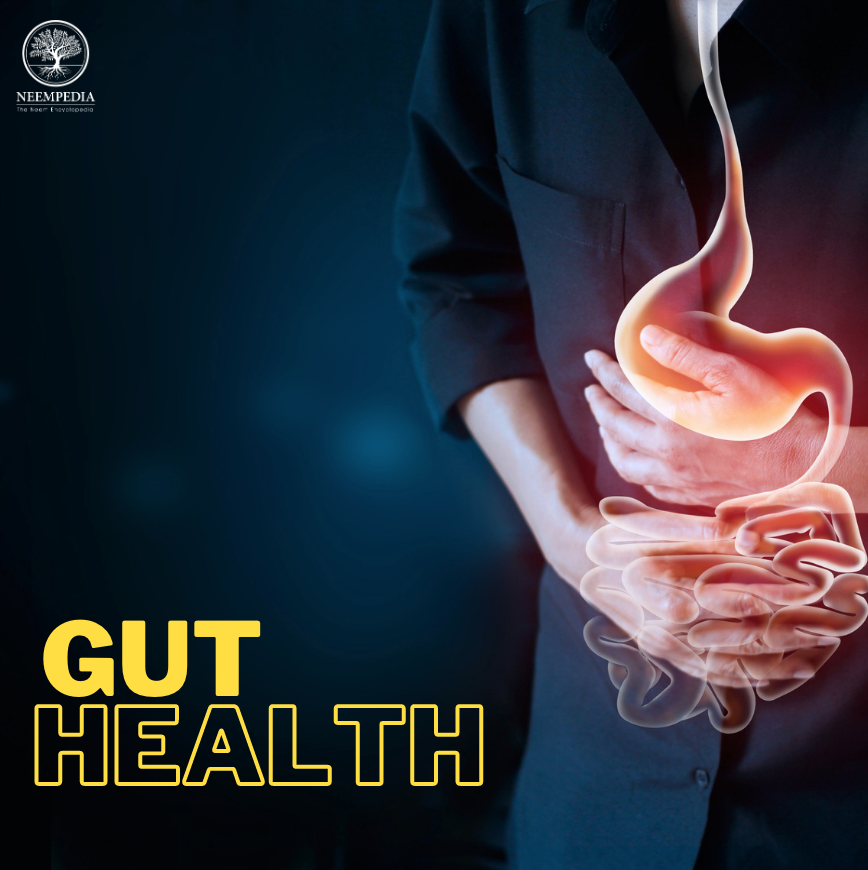 Neempedia's tweet photo. Neem extracts can also be used to treat gastritis. The extracts reduce the amount of acid in the gut; their antibacterial and anti-inflammatory properties can relieve the effects of this condition. Learn more about how to improve the gut flora at https://t.co/elwzRqqtmc! https://t.co/Cm99NRjbxE