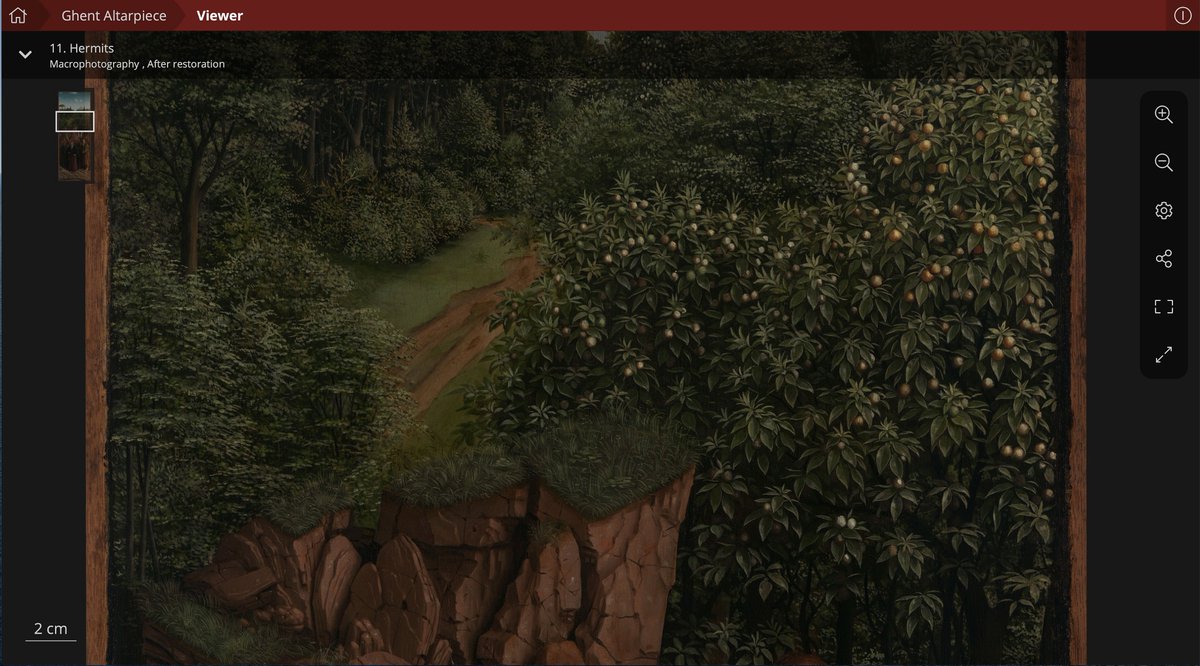 Seventy-five individual species of plants in the paintings can now be identified by botanists, and the shadows of leaves, trees, and bushes offer a wondrous sense of depth and three-dimensionality.