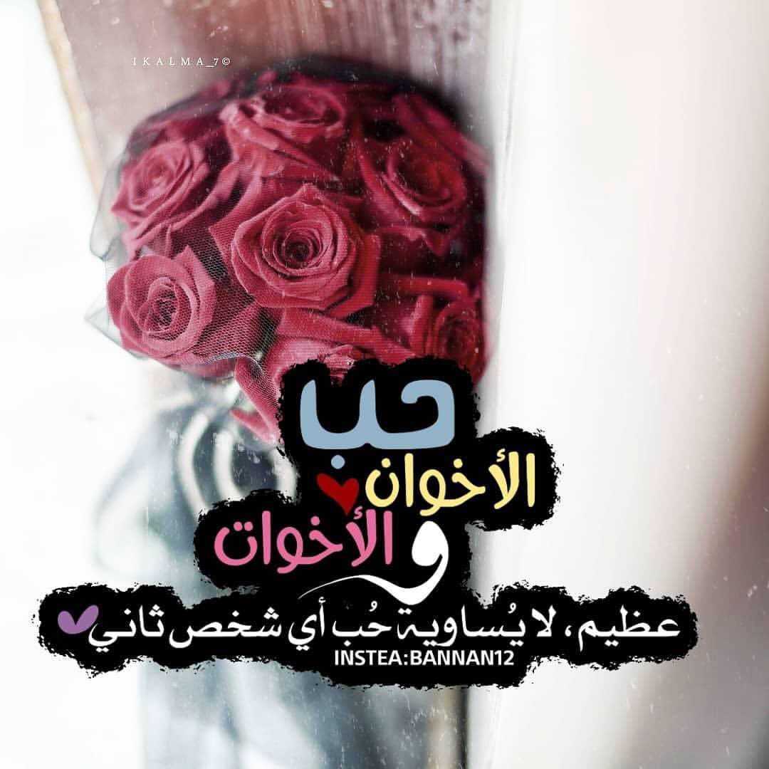 aml11222's tweet image. 