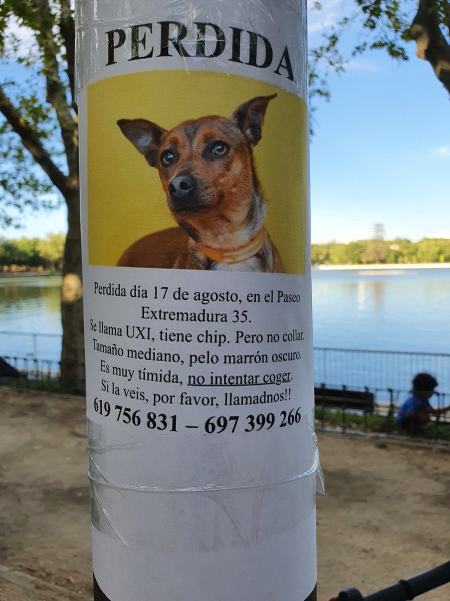 Gumers1nd0's tweet photo. @perezreverte  Sr. Pérez-Reverte, no es mía, pero igual usted puede difundirlo. Gracias si así lo hace. Es en Madrid. https://t.co/v5W4p2FF5N