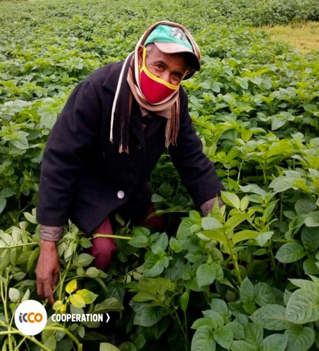 Smallholder farmers in Africa severely challenged by #COVID19. They experience difficulties in the quantity, quality and marketing (transport) of their produce. Read our report:
bit.ly/3iXRkXT Supported by <a href="/MastercardFdn/">Mastercard Foundation</a>
#Senegal #BurkinaFaso #Ethiopia #Rwanda #STARS