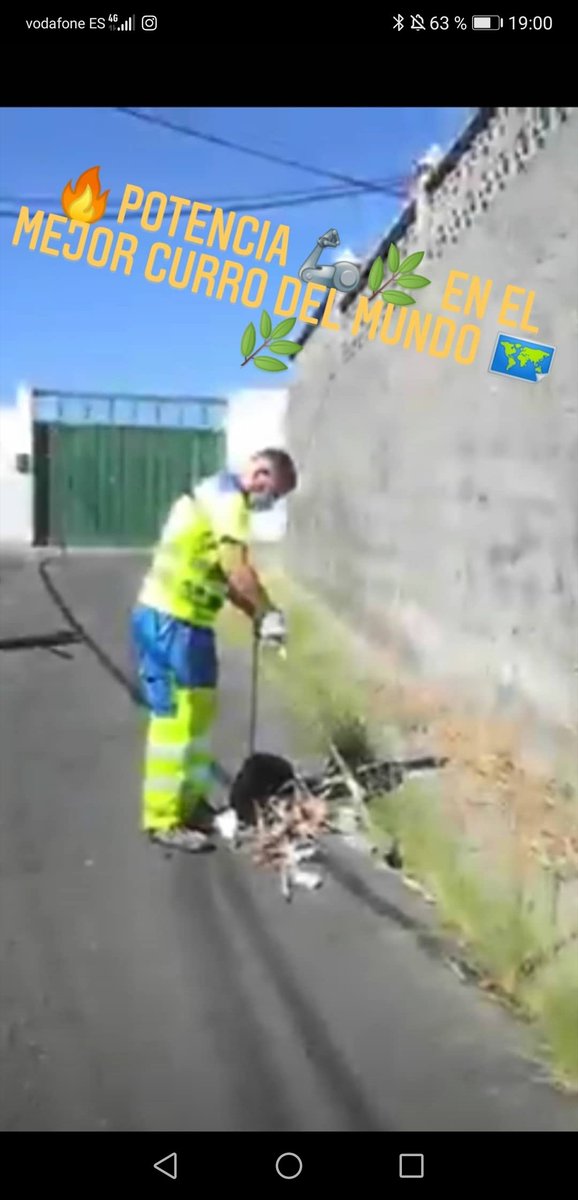 🌿🌿💙💛💙💛🌿🌿