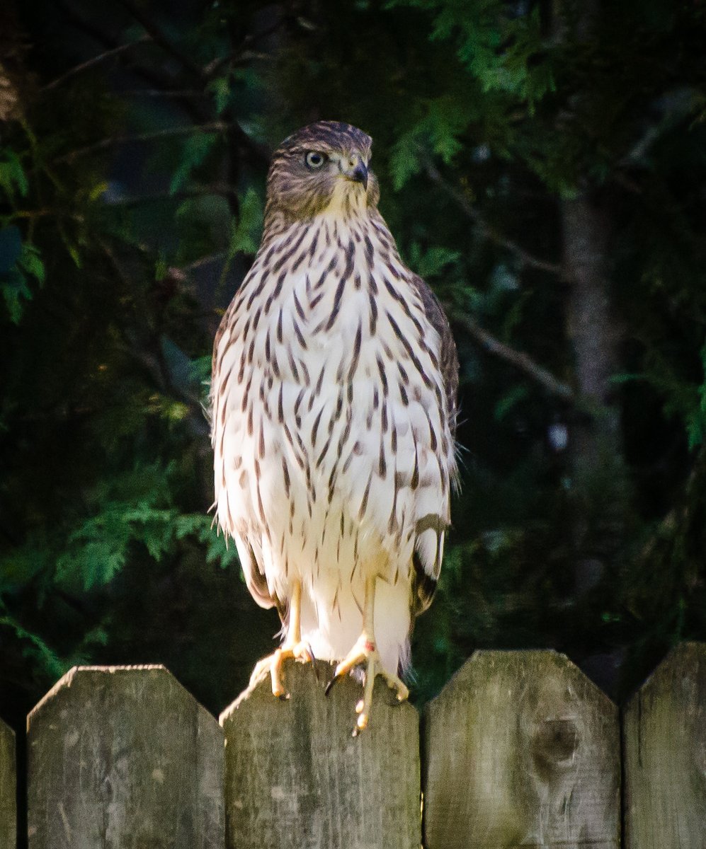 @DPoem.bsky.social tweet media