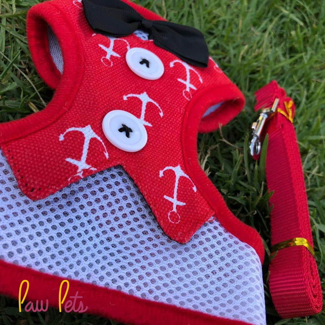 Arnés con correa 🐶❤️🐱
Disponible desde XS a L 
7 Diseños diferentes 

XS
Pecho 20-30cm
S
Pecho 31 - 42cm
M
Pecho 43-50cm
L
Pecho 51-60cm #arnes #perro #CDMX #rojo