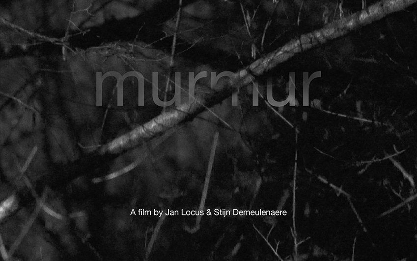stijnvibes's tweet photo. "Murmur, a film by #JanLocus and myself was selected for the @EcraFestival in Rio De Janeiro (BR). The whole program can also be followed online from today till the 30th of August!
https://t.co/g4Vi6NZIlc https://t.co/2g5sSoe9Je