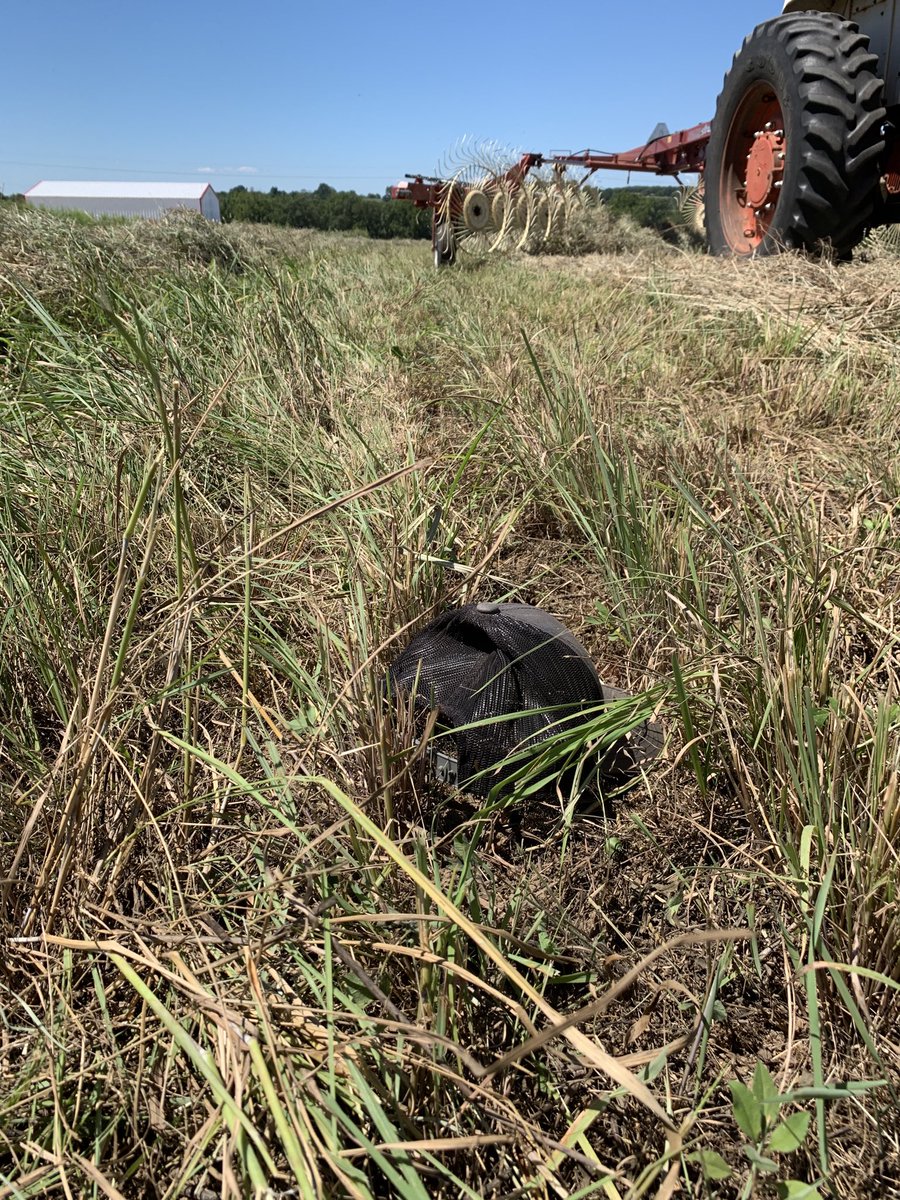 LandryEJones's tweet photo. The growing point on NWSG is higher than our cool season grasses. It’s important to raise your mowers up when cutting NWSG for hay. Especially on a late season cutting. This producer used cylinder stops to raise his moco up to about 8” cutting height.  #grazingnatives https://t.co/C5Ycslc2GE