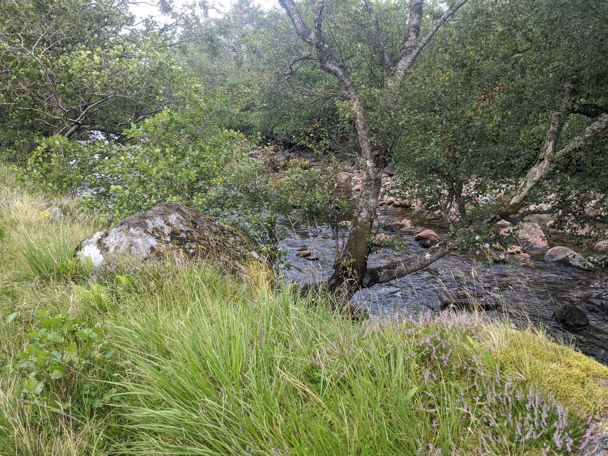 4km in, rain starting to show we decided to stop for lunch. Perfect spot next to the Water of Tulla. 7/