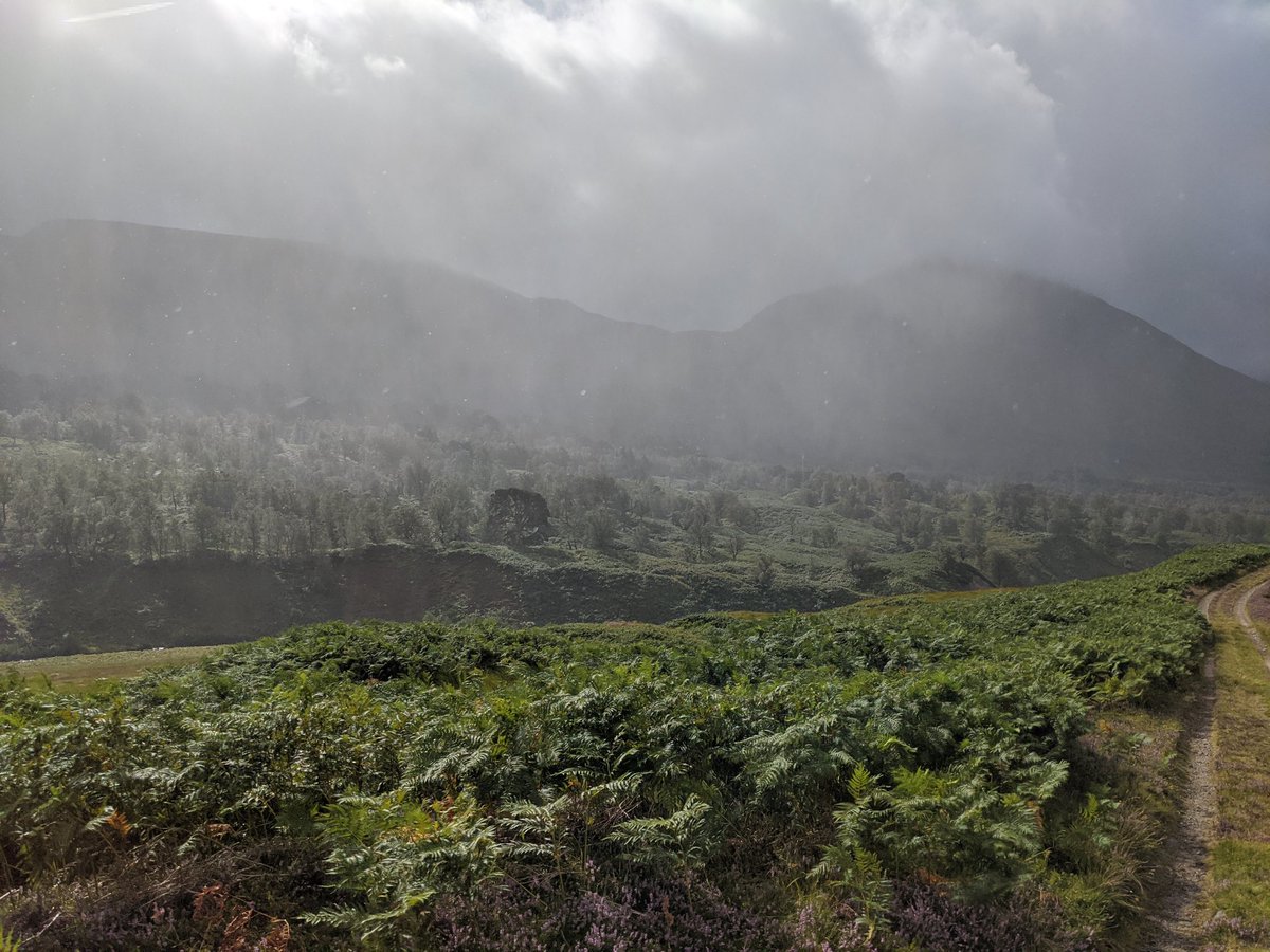 More rain and insane wind. What happened to the Met Office forecast for today which showed a sun all day and 10% chance of rain. Aaaaahhhhhhhhh. 9/